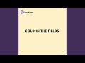 Cold in the Fields