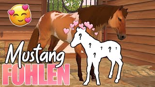 wir züchten das SCHÖNSTE MUSTANG FOHLEN 🐴💕 Rival Stars Horse Racing