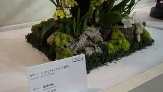 世界らん展 日本大賞2017へ行って来ました。