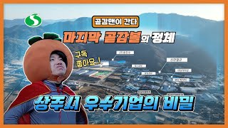 인턴 곧감맨, 여기로 곧감 - 왜 상주시청은....