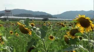 東海道新幹線　岐阜羽島　－　米原　2012/08撮影