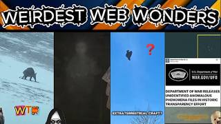 weirdest web wonders vol 188