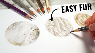 How to Draw White Fur on White Paper Easily