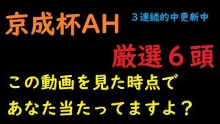 [京成杯AH 2019]得意のハンデ戦！これ見とけば当たりますトロワゼトワル　ディメンシオン [すっちゃん予想]