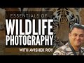 Essentials of Wildlife Photography | Avishek Roy | Online Workshop