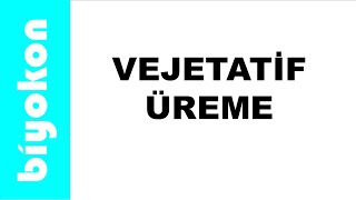 11 ) 10. Sınıf Biyoloji / tyt biyoloji / Vejetatif Üreme