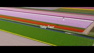 Tulip Fever - Kitesurfing in the Dutch Tulip Fields