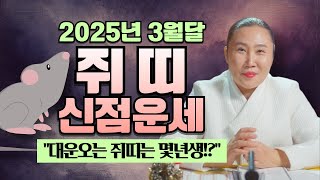 2025년 양력3월 쥐띠운세🐭🐭🐭 \