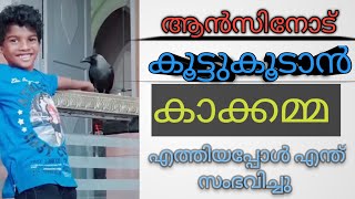 St. George church, Aruvithura|| ആൻസിനോട് കൂട്ടുകൂടാൻ ഒരു കാക്ക എത്തിയപ്പോൾ || BinduZz DreamZz