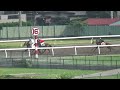 ２歳能力試験　浦和競馬　2015 0625 3r