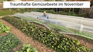 Sensationelle Gemüseernte Mitte November 😁 was ihr jetzt noch ernten und anbauen könnt!