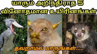 வித்தியாசமான உயிரினங்கள் | Part 1 | Unbelievable Creatures | #pugaltamil