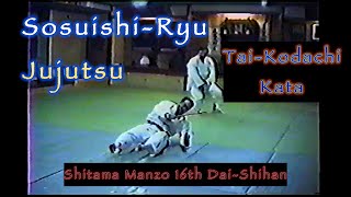 Shitama Manzo 16th Dai-Shihan Sosuishi-Ryu Tai-Kodachi Kata