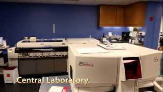 Central Laboratory | The Longstreet Clinic, P.C.