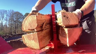 Splitting White Oak \u0026 Birch Drying Time Results #wolferidge #logsplitter #birchwood #outdoors