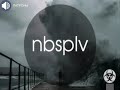 nbsplv Патроны