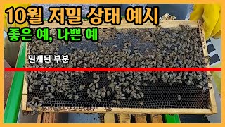 10월 중순 월동먹이 상태의 좋은 예, 나쁜 예