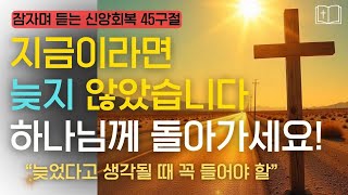 지금이라도 늦지 않았습니다 | 하나님께 돌아갈 기회는 열려 있습니다 다시 시작하세요 |핵심 말씀 시편 듣기 🌙샬롬나잇 #성경듣기  #성경낭독 #신앙생활  #잠잘때듣는성경