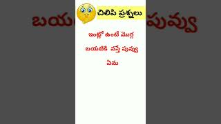 chilipi prashnalu ||#funnyquiz