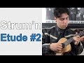 Strumming Etude no. 2 // Beginner Ukulele Strumming Lesson