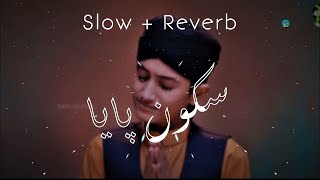 Sakoon Paya [Slowed + Reverb] -Gulam Mustafa Qadri @sidra.islamified  #gulammustafaqadri #naat