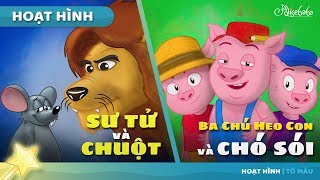 SƯ TỬ VÀ CHUỘT + BA CHÚ HEO CON VÀ CHÓ SÓI câu chuyện cổ tích hoạt hình phim