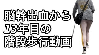 【脳幹出血から13年目の階段歩行動画】