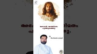 നിനക്ക് ആരാണ് ദൈവം?  | Rev. Aneesh P Joseph #shorts #motivationalvideo