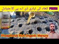 PROM- Phosphorus Rich Organic Manure|| How to make PROM #Phosphorus Rich Organic Manure