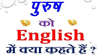 पुरुष को इंग्लिश में क्या कहते हैं  |  purush in English