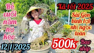 12/1/2025☎️0373919774 Nguyệt Nhi 👉mai vàng chơi tết sài gòn bình lợi 500k bao sip bao nụ chơi tết