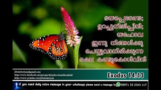 ഭയപ്പെടേണ്ടാ ഉറച്ചുനില്പിൻ യഹോവ ഇന്നു നിങ്ങൾക്കു ചെയ്‍വാനിരിക്കുന്ന രക്ഷ കണ്ടുകൊൾവിൻ | EXODUS 14:13