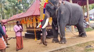 ടാ പേടിക്കാതെ കൂടെ വാ പരമേശ്വര🙂 chirakkal parameshwaran 😘 #viralvideo #elephant #videos