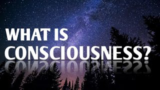 What is consciousness?  |  Dr. James Cooke
