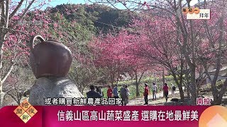 櫻花.桃花.李花盛開 南投草坪頭繁花爭豔【客家新聞20200125】