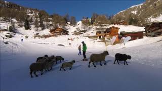 Cervinia and Zermatt