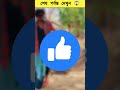 জাদুর চন্দন কাঠ viral shorts shortsfacts banglashorts trendingshorts