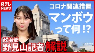 【政治イチから解説】マンボウってナニ！？　新型コロナ法改正(2021年2月17日放送「日テレNEWS24」より)