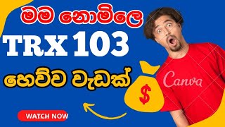 How to earn FREE USD, TRX in sinhala - sinhaka part time job - online job