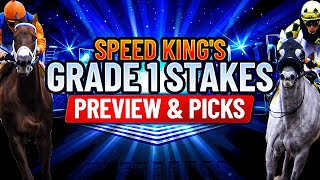 Grade 1 Malibu Stakes Preview \u0026 Picks | Santa Anita Park 8th Race 12/26/2024.