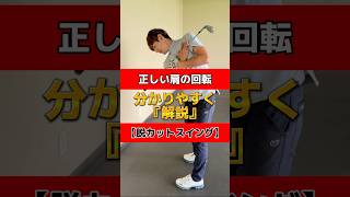 正しい肩の回転🏌️‍♂️分かりやすく解説【脱カットスイング】#ゴルフ #ゴルフスイング #ゴルフレッスン #golf #golfer #golfswing #ゴルフ練習