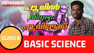 പൂവിൽ നിന്നും പൂവിലേക്ക്|Basic Science|Class 6|Flower to Flower|Part II