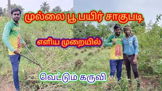 முல்லை பூ பயிர் சாகுபடி எளிய முறையில் வெட்டும் கருவி #farmer #ownvoice #agriculturefarming #nature