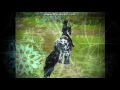 Schools out for summer (Star stable remake music video)