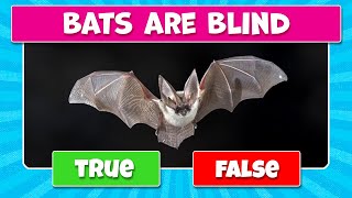 TRUE or FALSE Quiz - Animals True or False Quiz - Animals Knowledge Trivia Questions | PARTY GAMES