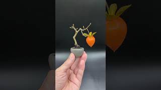 Diospyros rhombifolia and Zenpukuji pot. #bonsai #plants #miniature