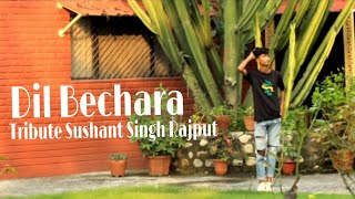 Dil Bechara || Sushant Singh Rajput wins hearts one last time || dance ap thapa