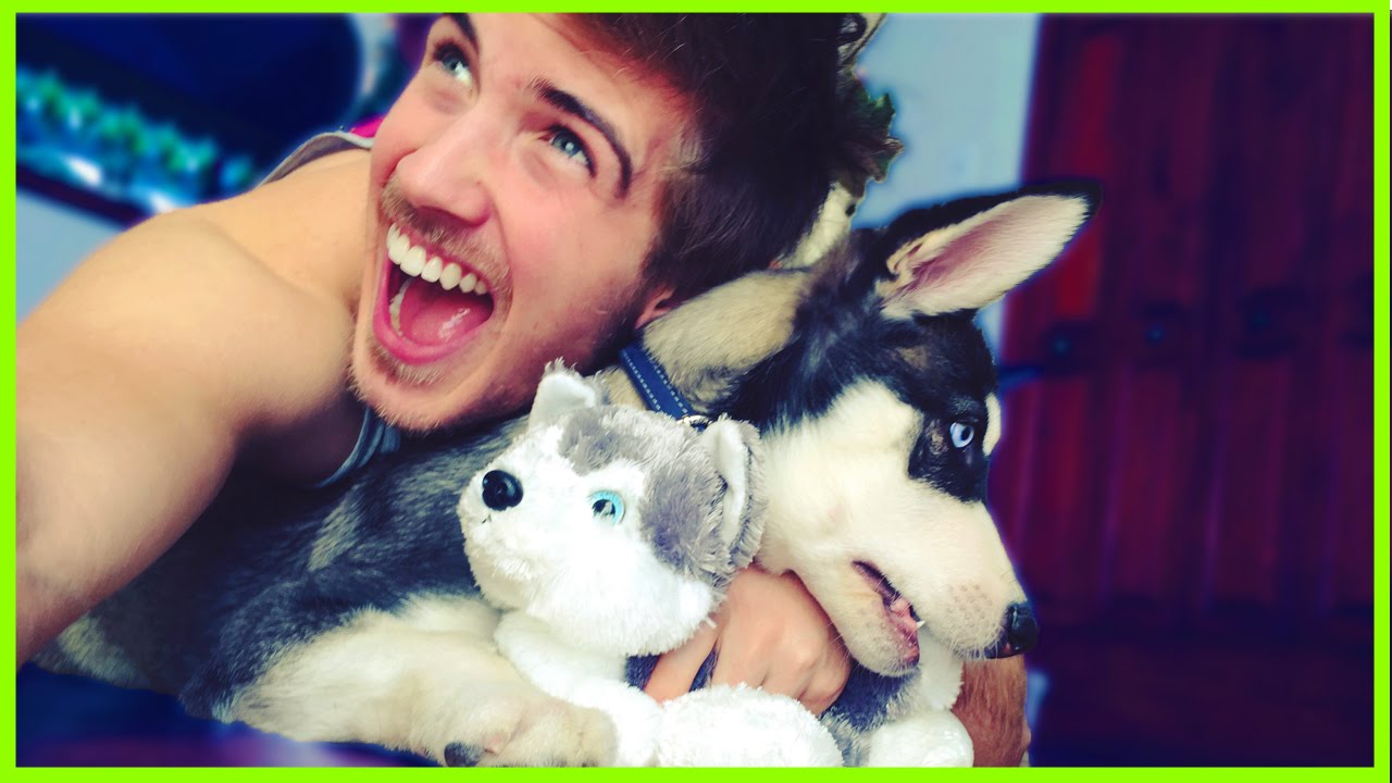 Another Puppy Youtube