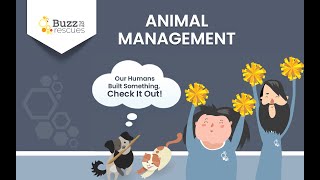 Learn How to Manage Animals in 4 Minutes Using Buzz
