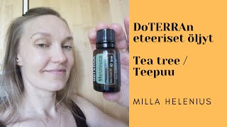 Eteeriset öljyt Teepuu - Teatree - Melaleuca